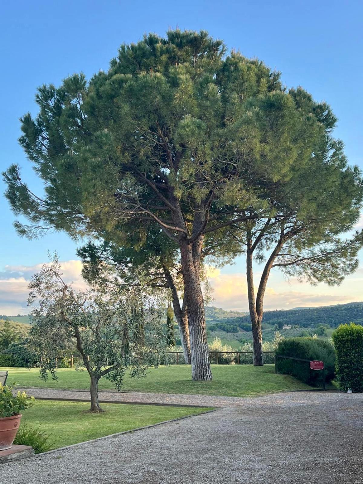 Fattoria Abbazia Monte Oliveto Villa ซานจีมิญญาโน ภายนอก รูปภาพ